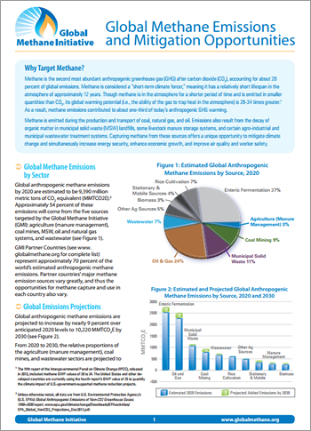 Global Methane Emissions and Mitigation Opportunities