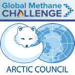 Expert Group on Black Carbon and Methane