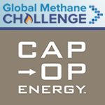 Methane Abatement Project Platform (MAPP) and Distributed Energy Efficiency Project Platform (DEEPP)