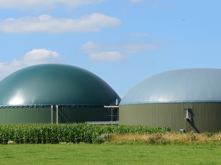 Biogas Sector