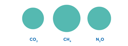 Methane Emissions in the Agriculture, Forestry, and Other Land Use Sector Compared to CO2 and N2O, 2018